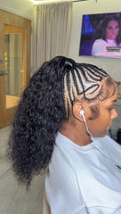 Soft Burmese Extenstions